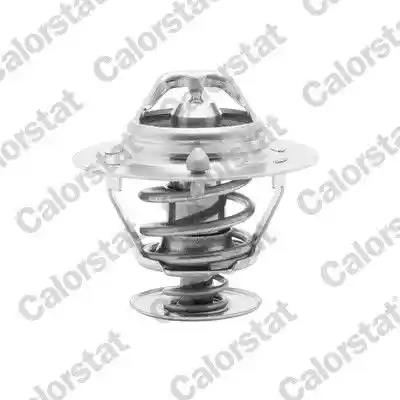 CALORSTAT by Vernet TH6294.82J
