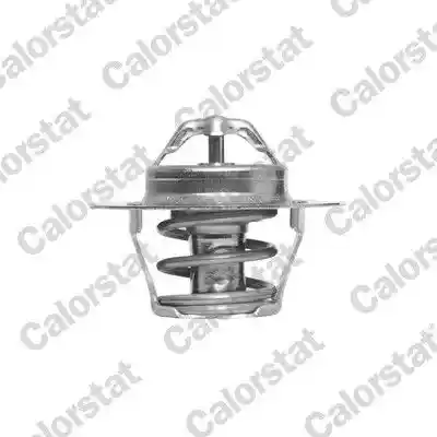 CALORSTAT by Vernet TH6318.92J