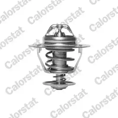 CALORSTAT by Vernet TH6319.88J