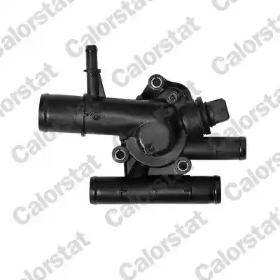 CALORSTAT by Vernet TH6454.89J