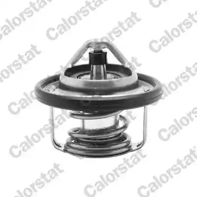CALORSTAT by Vernet TH6737.82J