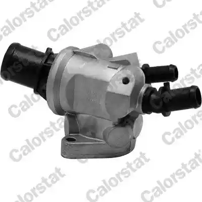CALORSTAT by Vernet TH6882.88J