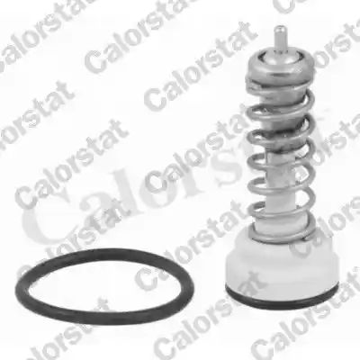 CALORSTAT by Vernet TH7203.95J