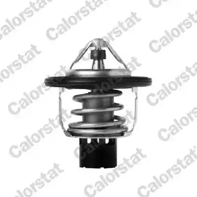 CALORSTAT by Vernet TH7418.88J