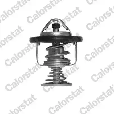 CALORSTAT by Vernet TH7494.80J