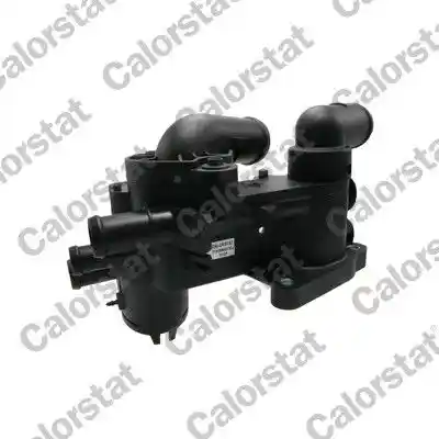 CALORSTAT by Vernet THK596202.83J