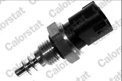 CALORSTAT by Vernet TS2950