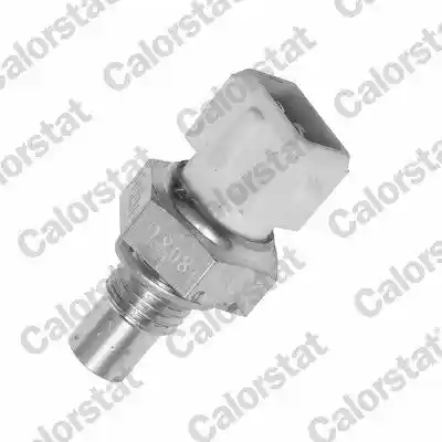 CALORSTAT by Vernet WS2584 CALORSTAT by Vernet WS2584