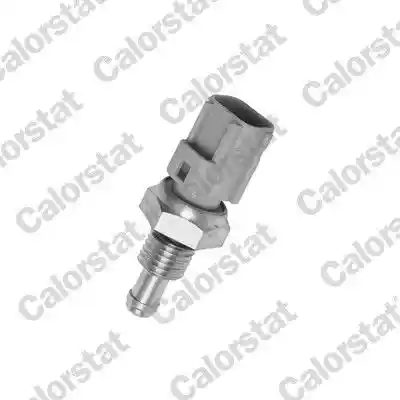 CALORSTAT by Vernet WS2596