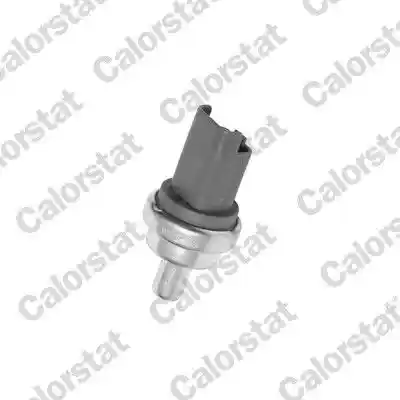CALORSTAT by Vernet WS2609