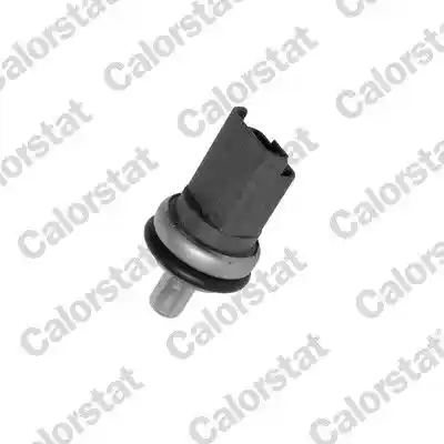 CALORSTAT by Vernet WS2610