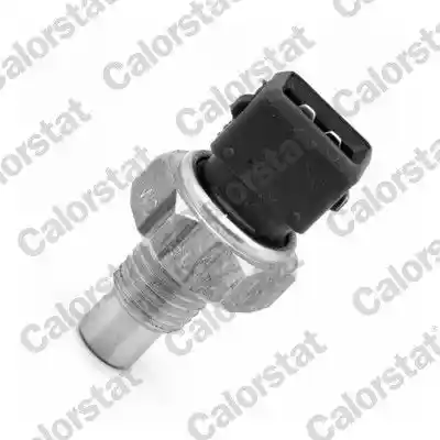 CALORSTAT by Vernet WS3006 CALORSTAT by Vernet WS3006