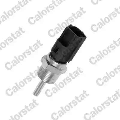 CALORSTAT by Vernet WS3041