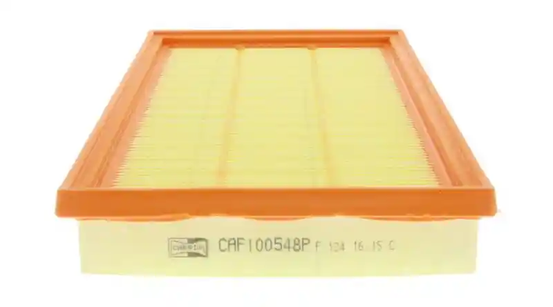 CHAMPION CAF100548P