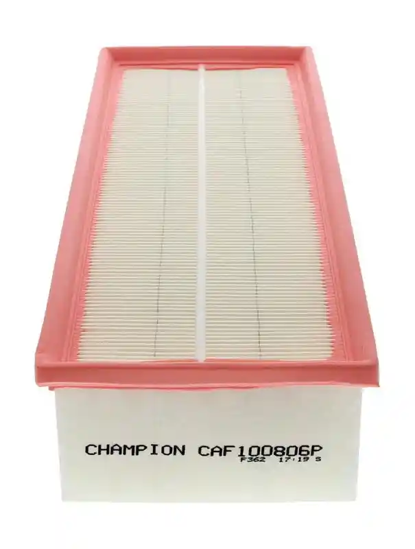 CHAMPION CAF100806P