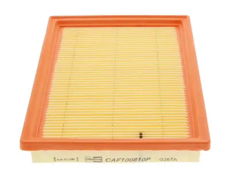 CHAMPION CAF100810P