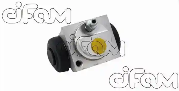 CIFAM 101-1000