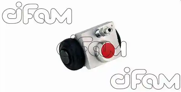CIFAM 101-1017
