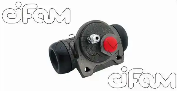 CIFAM 101-363