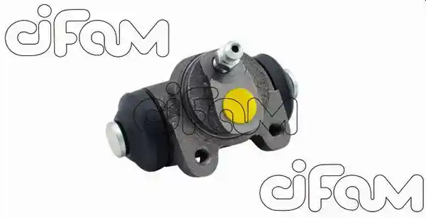 CIFAM 101-365