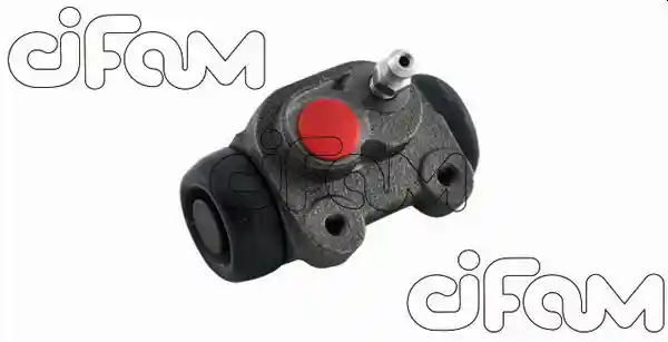 CIFAM 101-809