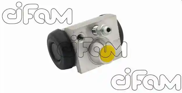 CIFAM 101-875