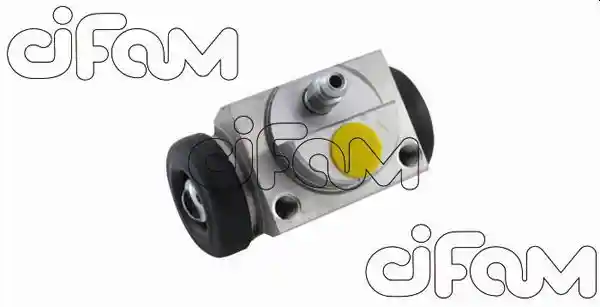 CIFAM 101-893