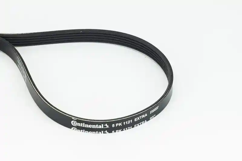 CONTINENTAL CTAM 5PK1121 EXTRA CONTINENTAL CTAM 5PK1121 EXTRA