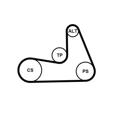 CONTINENTAL CTAM 5PK1121 EXTRA K1