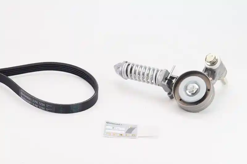 CONTINENTAL CTAM 5PK1230K1