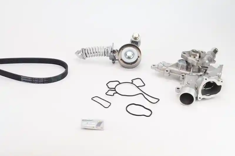 CONTINENTAL CTAM 5PK1230WP1