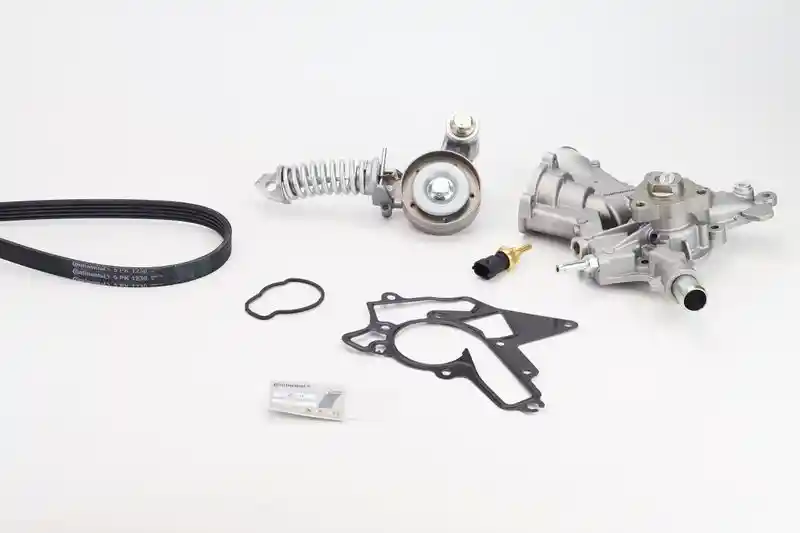 CONTINENTAL CTAM 5PK1230WP2