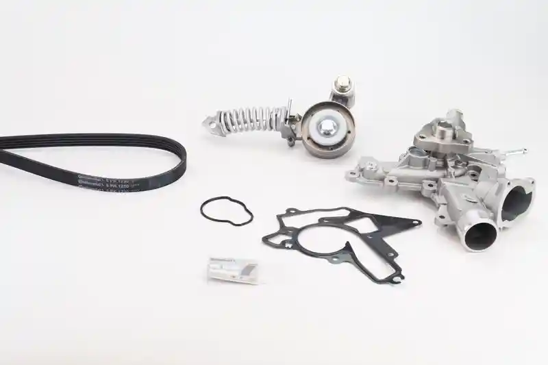 CONTINENTAL CTAM 5PK1230WP3