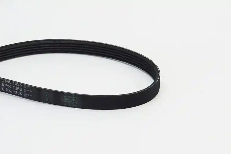 CONTINENTAL CTAM 5PK1355