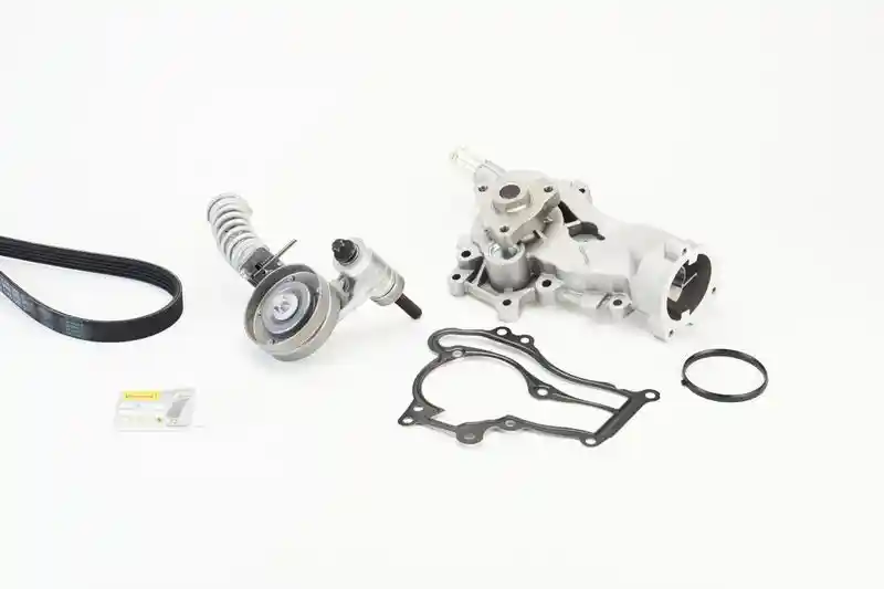 CONTINENTAL CTAM 5PK1355WP3
