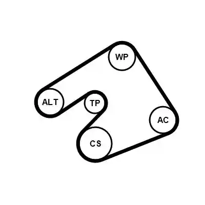 CONTINENTAL CTAM 5PK1397K1