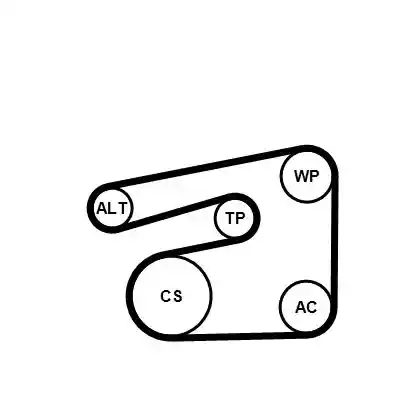 CONTINENTAL CTAM 5PK1546K1