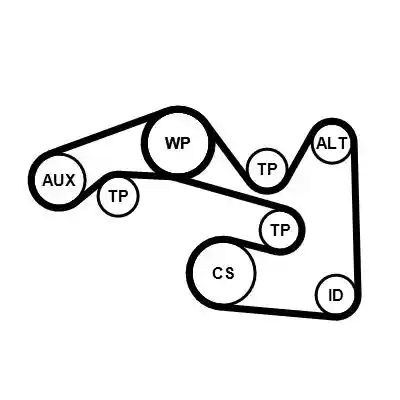 CONTINENTAL CTAM 5PK491K1