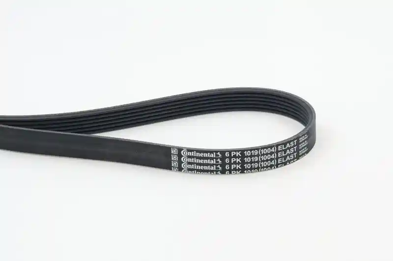 CONTINENTAL CTAM 6PK1019 ELAST CONTINENTAL CTAM 6PK1019 ELAST