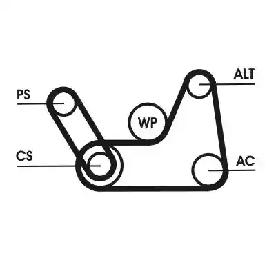 CONTINENTAL CTAM 6PK1019 ELAST T1