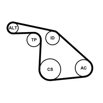 CONTINENTAL CTAM 6PK1038K1