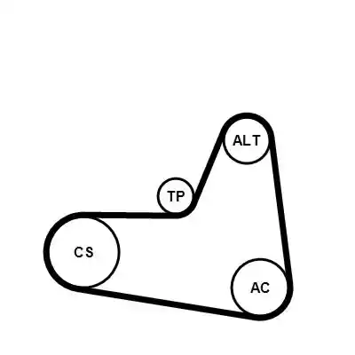 CONTINENTAL CTAM 6PK1045K2