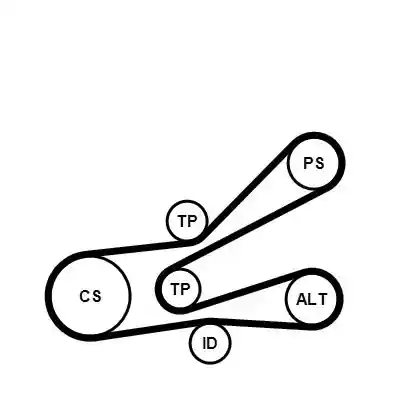 CONTINENTAL CTAM 6PK1045K3