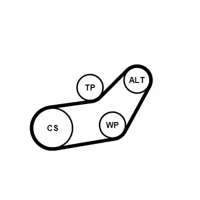 CONTINENTAL CTAM 6PK1045WP1