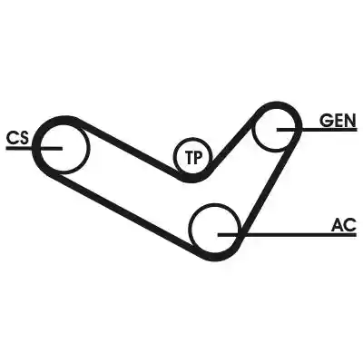 CONTINENTAL CTAM 6PK1050D2