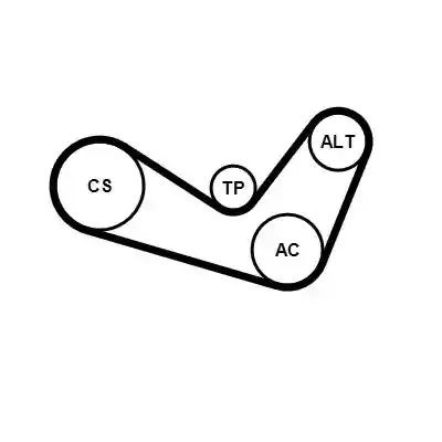 CONTINENTAL CTAM 6PK1050K1 CONTINENTAL CTAM 6PK1050K1