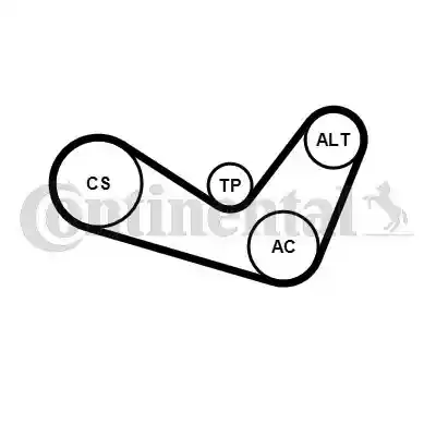 CONTINENTAL CTAM 6PK1050K2 CONTINENTAL CTAM 6PK1050K2