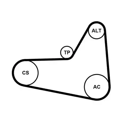 CONTINENTAL CTAM 6PK1054K1