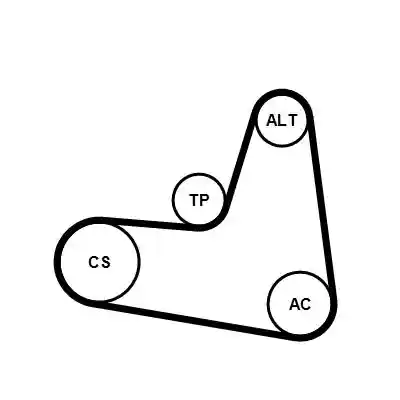 CONTINENTAL CTAM 6PK1120K2