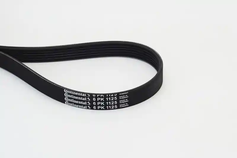 CONTINENTAL CTAM 6PK1125